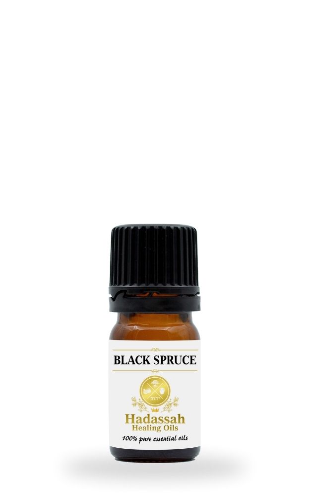 5ml Black Spruce