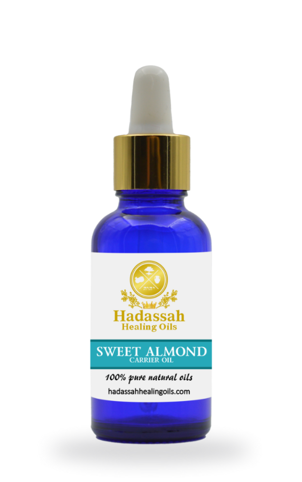 Almond Carrier Oil Hadassah Healing Oils