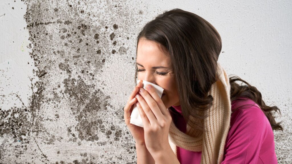 Black Mold and Your Health 1024x576 1