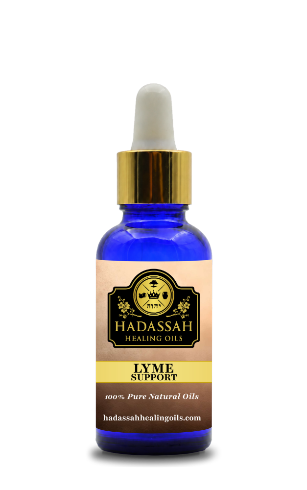 LYME SUPPORT Blend 30ml
