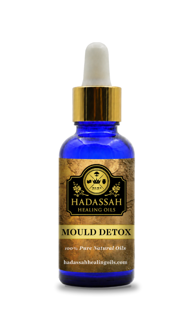 Mould Detox 1